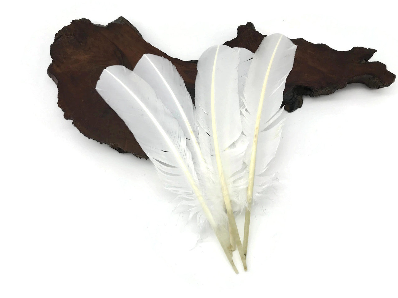 1 Lb - White Turkey Tom Rounds Secondary Wing Quill Wholesale Feathers (Bulk)