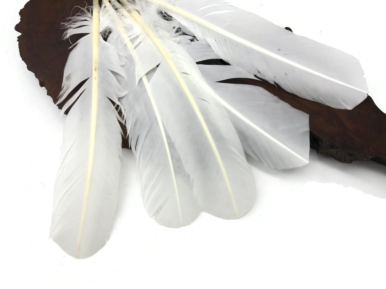 1/4 Lb - White Turkey Tom Rounds Secondary Wing Quill Wholesale Feathers (Bulk)