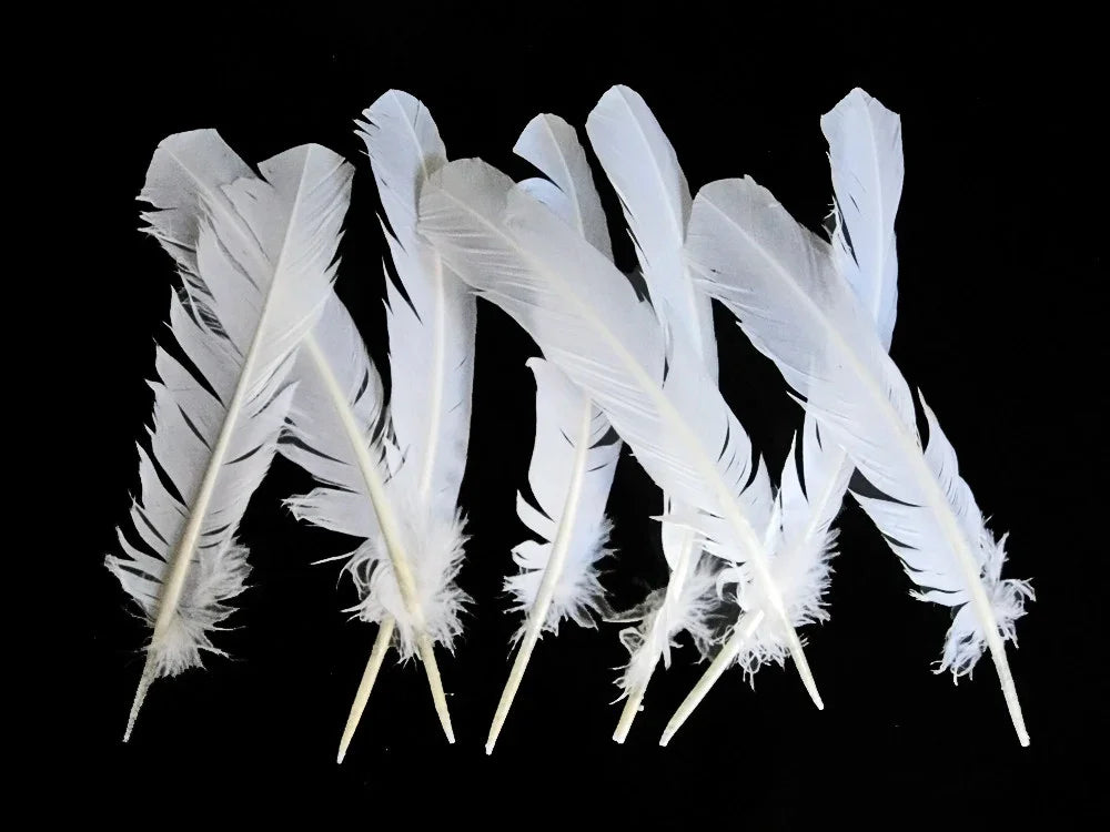 Collection of soft white craft feathers for DIY fashion and decor on a black background.