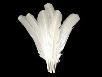 Bundle of elegant white feathers for DIY crafts and fashion decor on a black background.