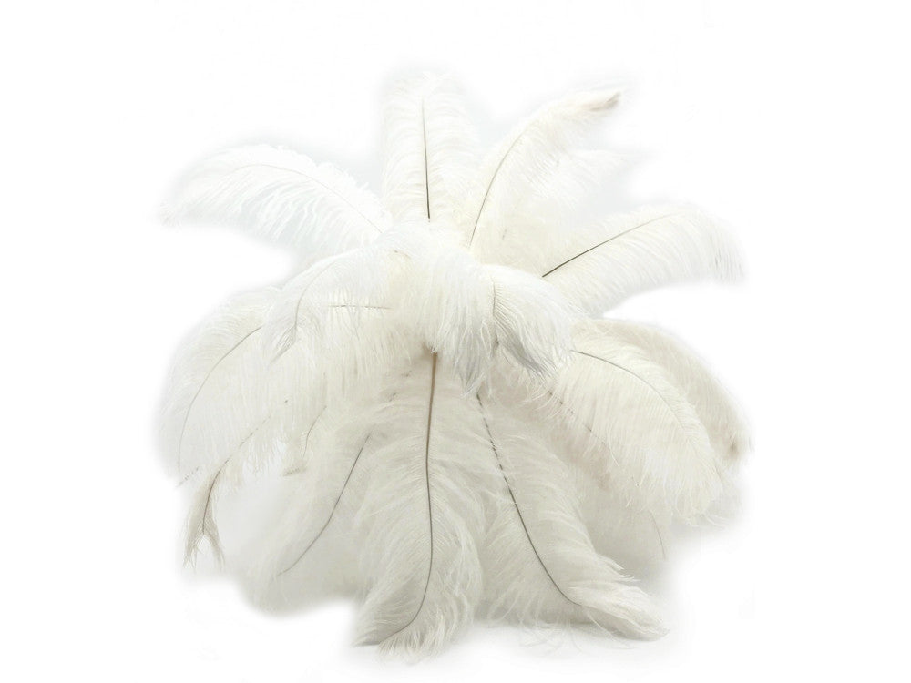 1/2 Lb. - 9-13" Off White Bleached Ostrich Body Drab Wholesale Feathers (Bulk)