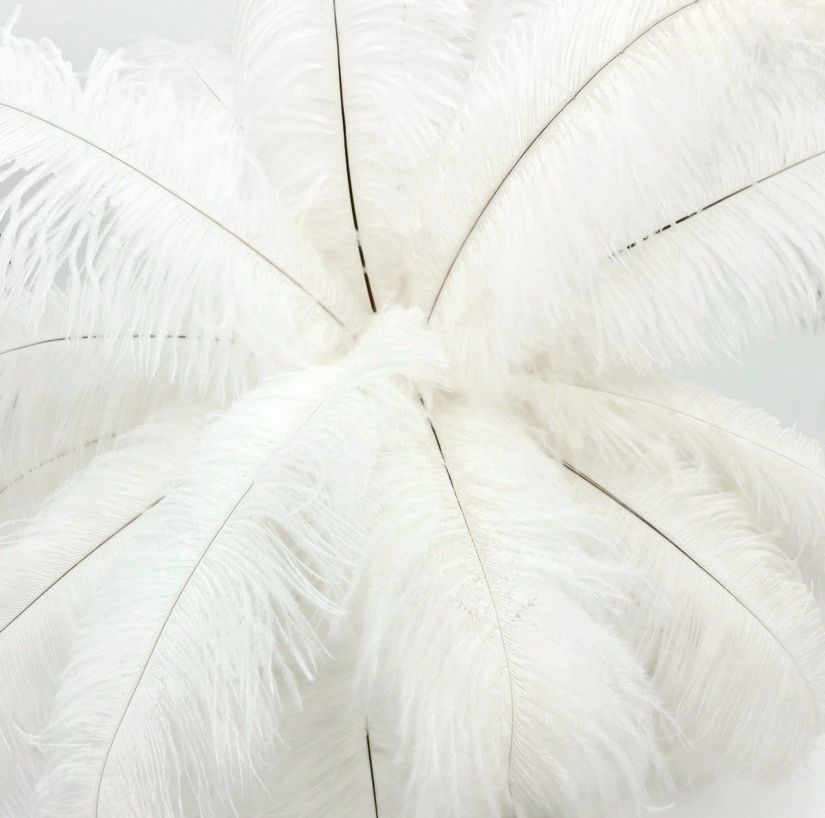 Centerpiece Kit - 30 Pieces Off White Ostrich Drabs All-In-One Centerpiece Feather Kit