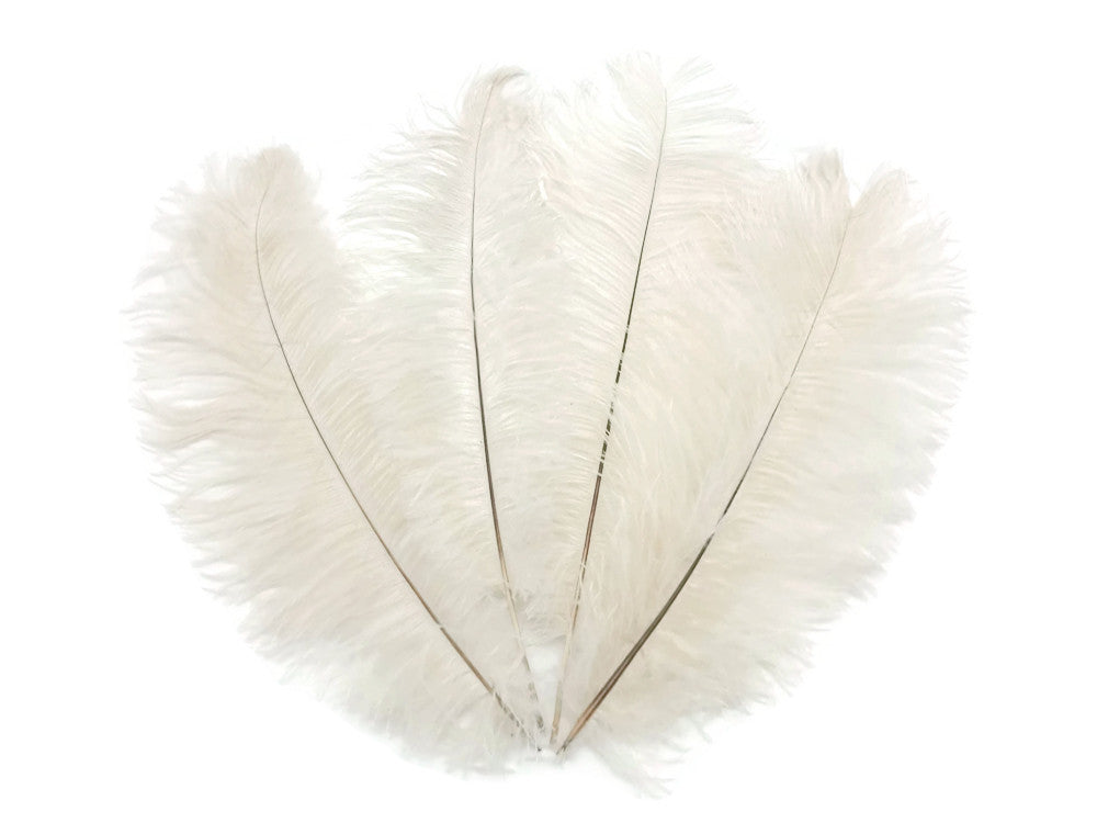 1/2 Lb. - 9-13" Off White Bleached Ostrich Body Drab Wholesale Feathers (Bulk)