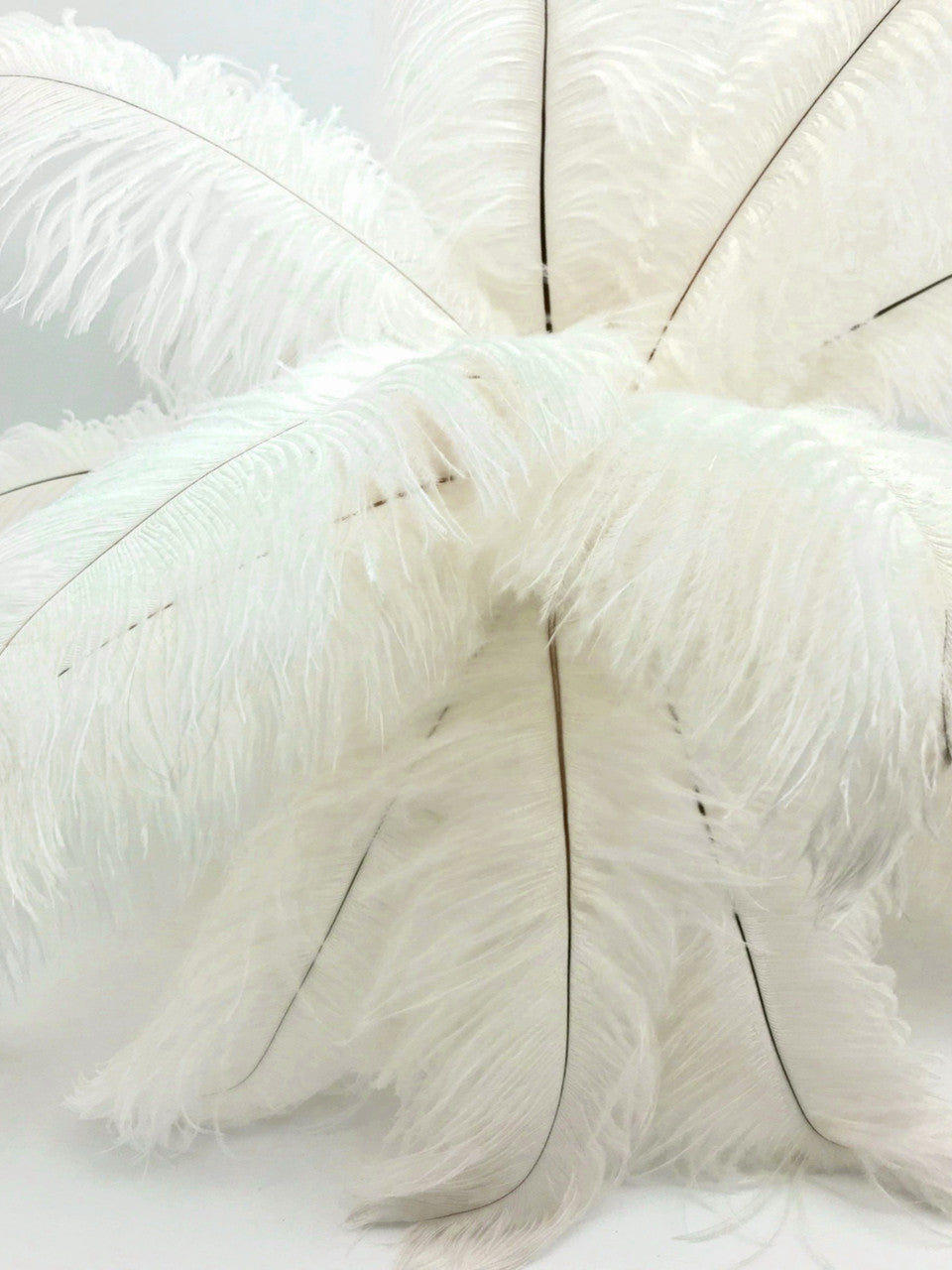 10 Pieces - 8-10" Bleached Off White Ostrich Dyed Drabs Feathers