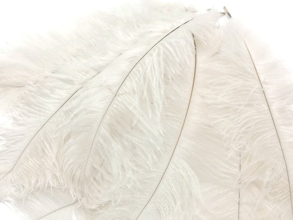 10 Pieces - 8-10" Bleached Off White Ostrich Dyed Drabs Feathers