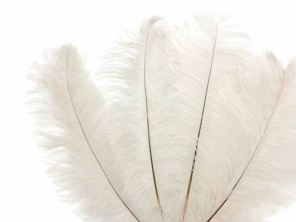 10 Pieces - 17-19" Off White Large Bleached Ostrich Drabs Body Feathers