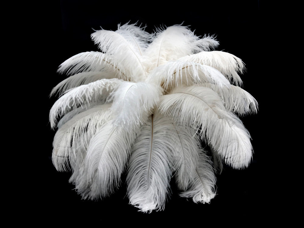 10 Pieces - 17-19" Off White Large Bleached Ostrich Drabs Body Feathers