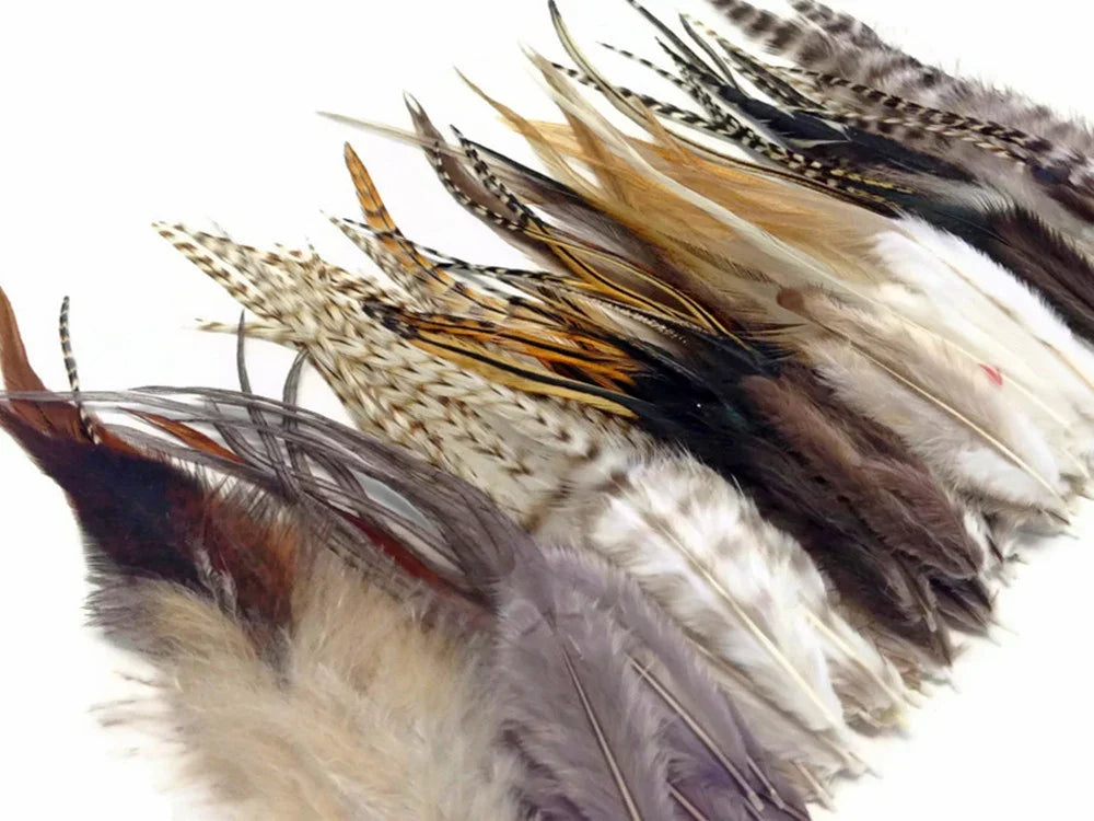 Assorted natural feathers in various colors and patterns for crafts and fashion DIY.