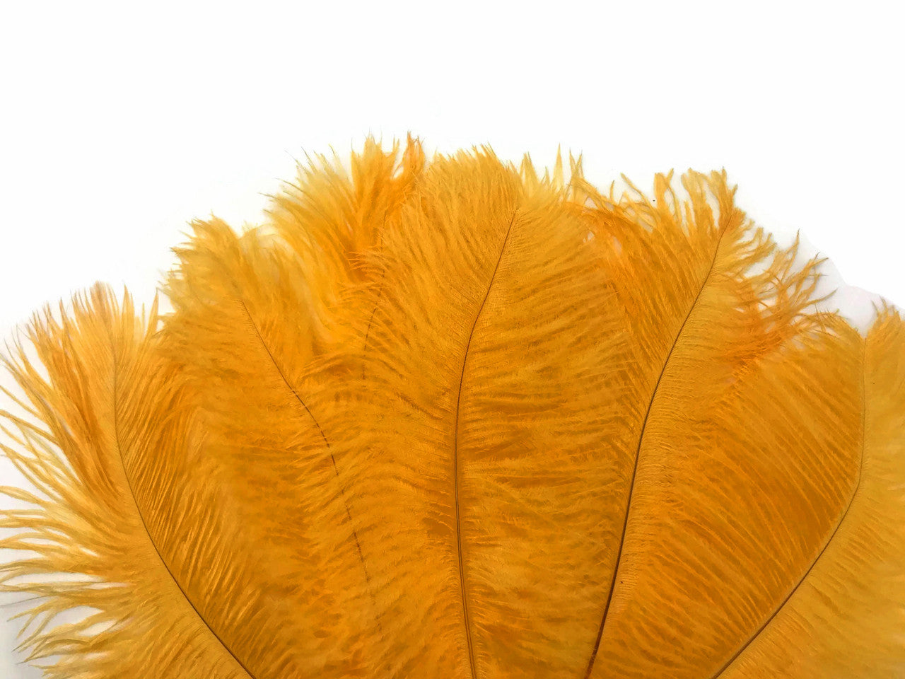 10 Pieces - 11-13" Golden Yellow Bleached & Dyed Ostrich Drabs Body Feathers