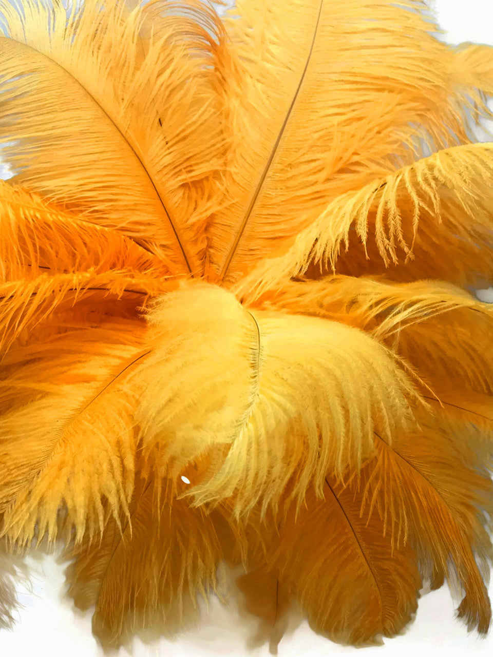 100 Pieces - 8-10" Golden Yellow Ostrich Dyed Drab Body Wholesale Feathers (Bulk)