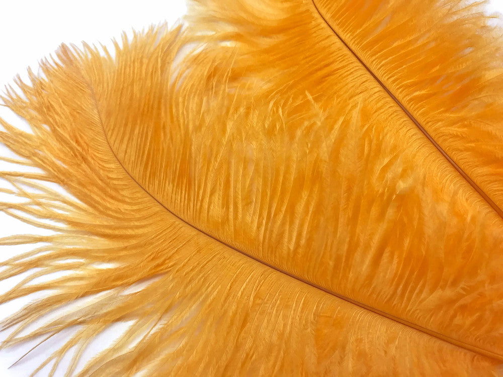 1/2 Lb. - 19-24" Golden Yellow Ostrich Extra Long Drab Wholesale Feathers (Bulk)