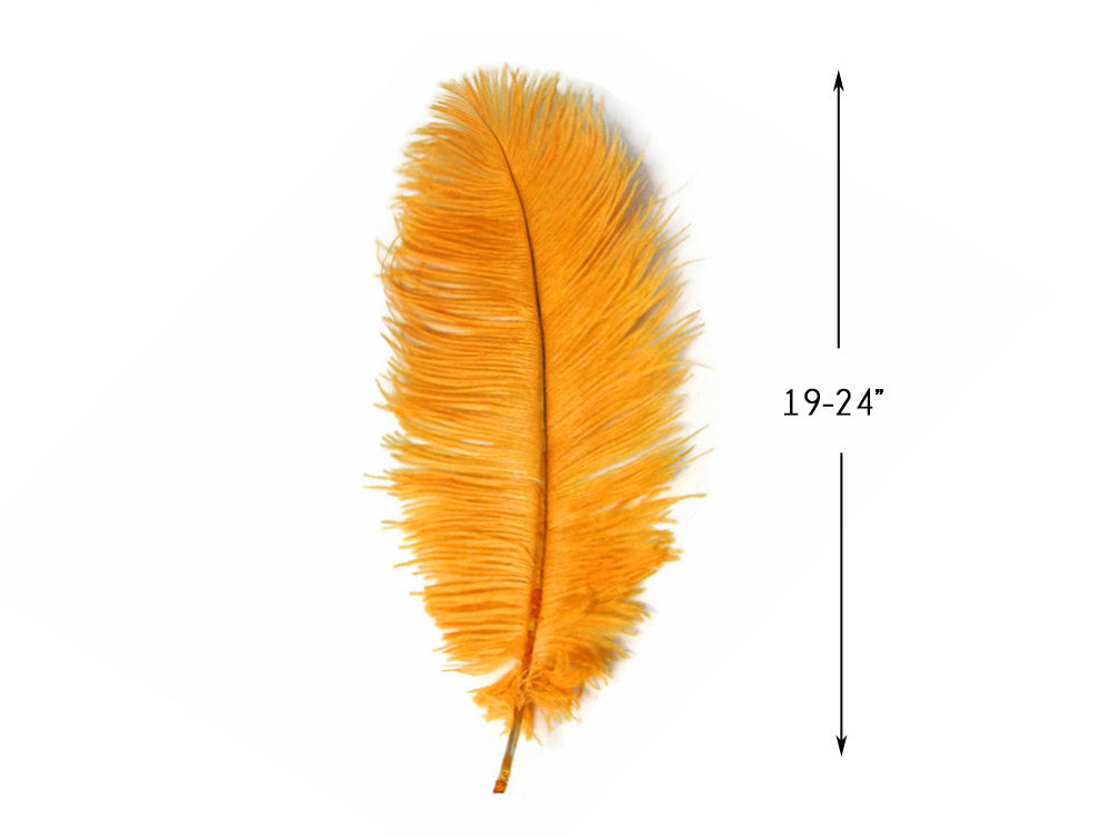 10 Pieces - 19-24" Gold Ostrich Dyed Drabs Body Feathers