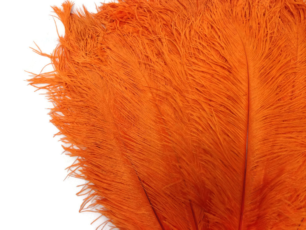 1/2 Lb - 19-24" Orange Ostrich Extra Long Drab Wholesale Feathers (Bulk)