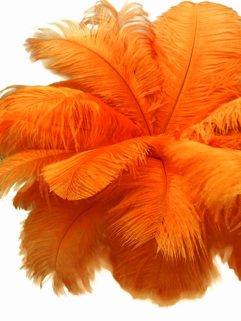 10 Pieces - 6-8" Orange Ostrich Dyed Drabs Feathers