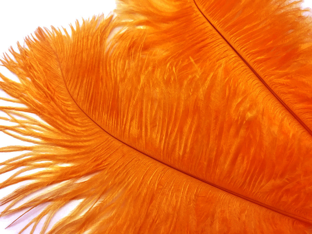 10 Pieces - 17-19" Orange Large Bleached & Dyed Ostrich Drabs Body Feathers