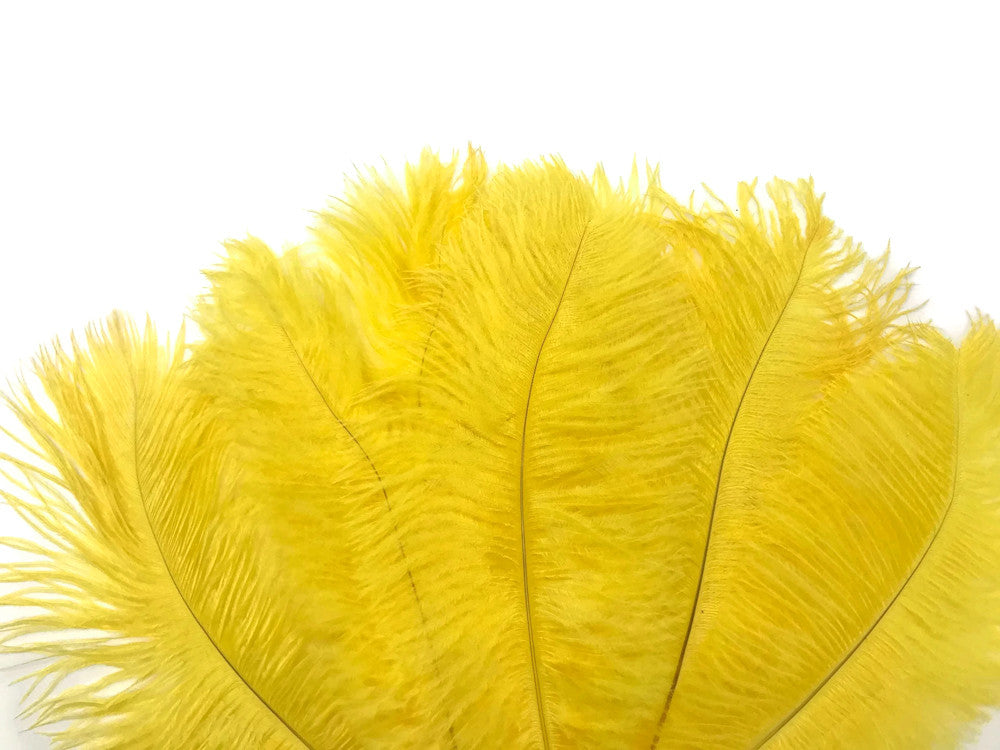 10 Pieces - 6-8" Sunshine Yellow Ostrich Dyed Drabs Feathers