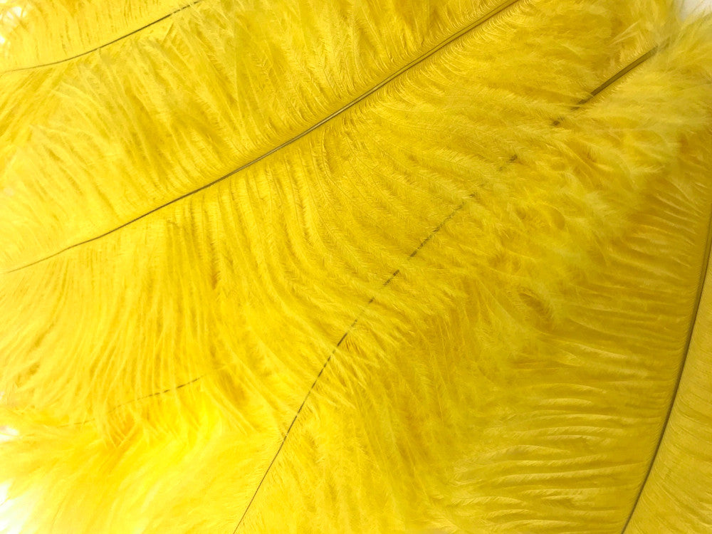 100 Pieces - 8-10" Yellow Ostrich Dyed Drab Body Wholesale Feathers (Bulk)