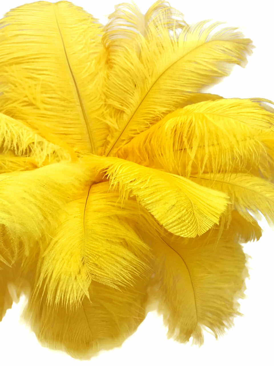 10 Pieces - 19-24" Yellow Ostrich Dyed Drabs Body Feathers