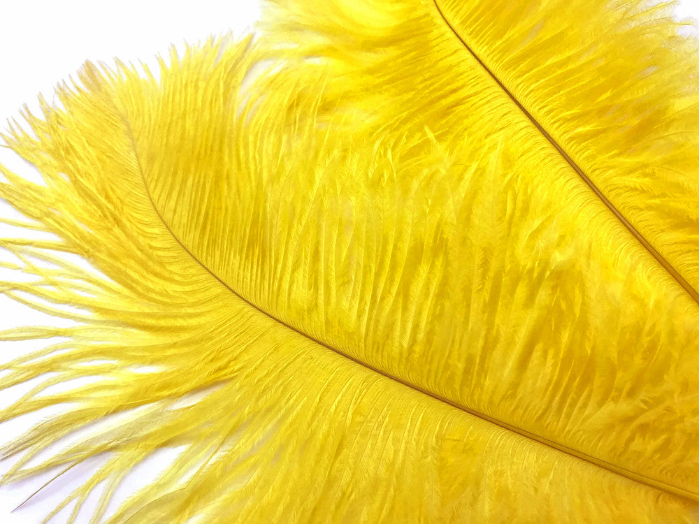 10 Pieces - 6-8" Sunshine Yellow Ostrich Dyed Drabs Feathers