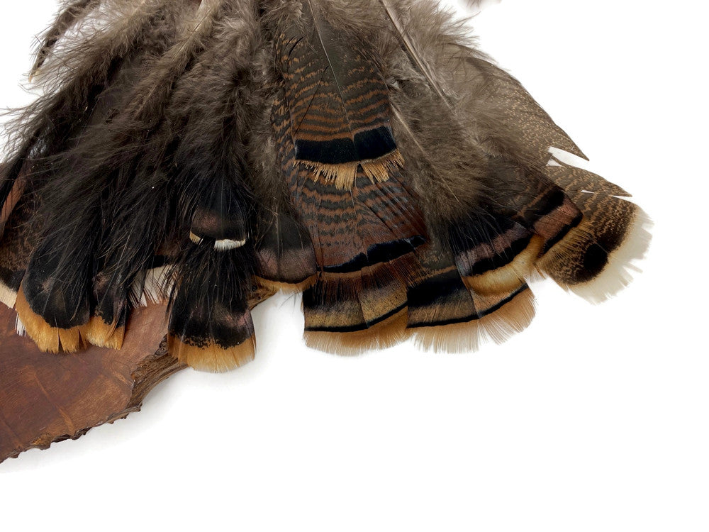 Collection 59 - Wild Turkey body and Tail Feathers Mix