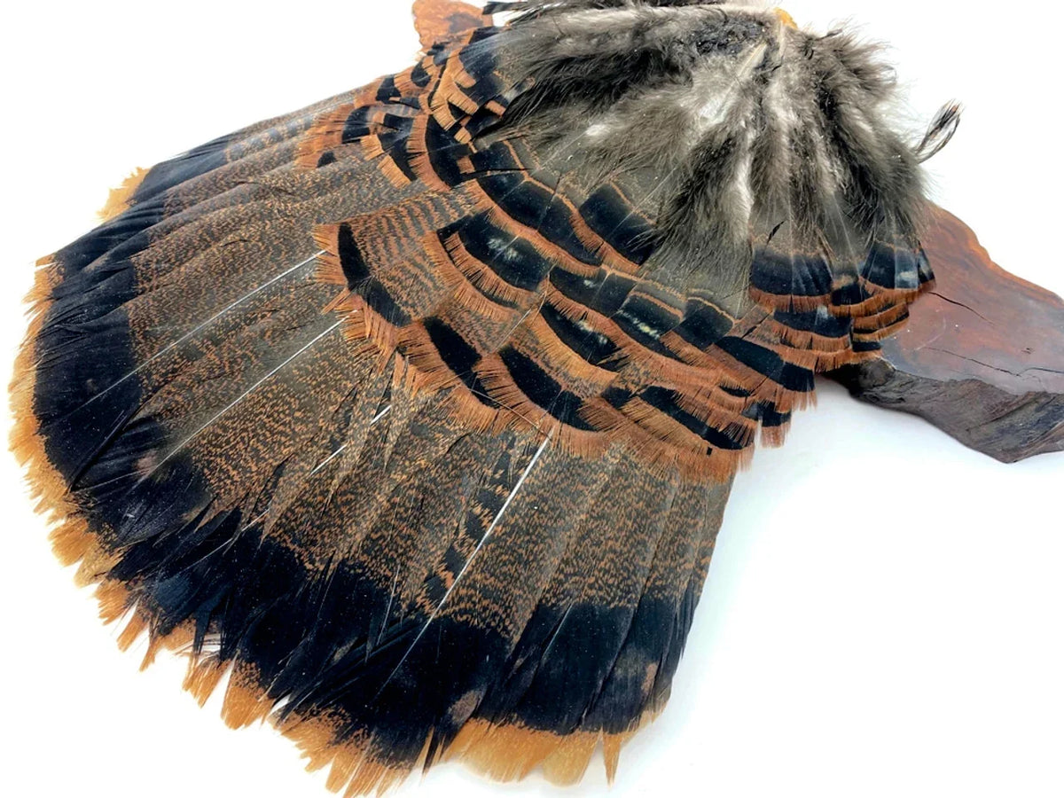 Large patterned brown and black bird feathers for crafts and DIY fashion decor.
