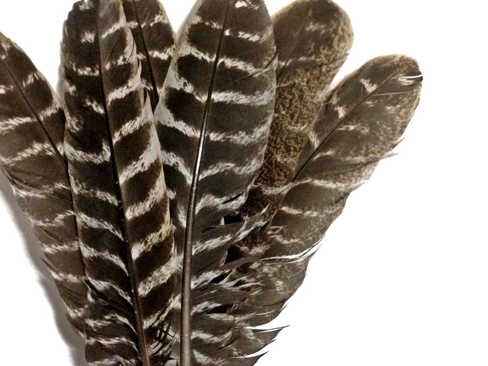 Wing Feathers, 1 Lb - Royal Blue Turkey Rounds Wing Quill Wholesale Feathers outlet (Bulk) Halloween Craft Supplier : 4943