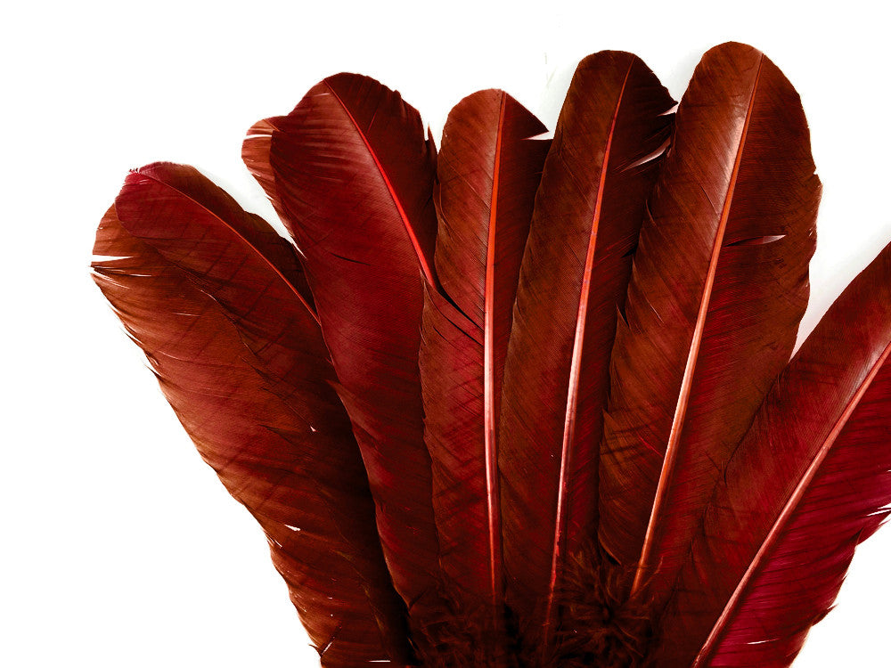 6 Pieces - Wine Brown Turkey Rounds Secondary Wing Quill Feathers