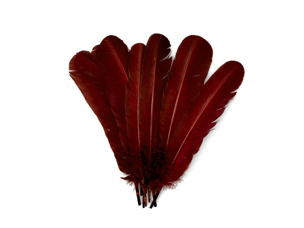 6 Pieces - Wine Brown Turkey Rounds Secondary Wing Quill Feathers