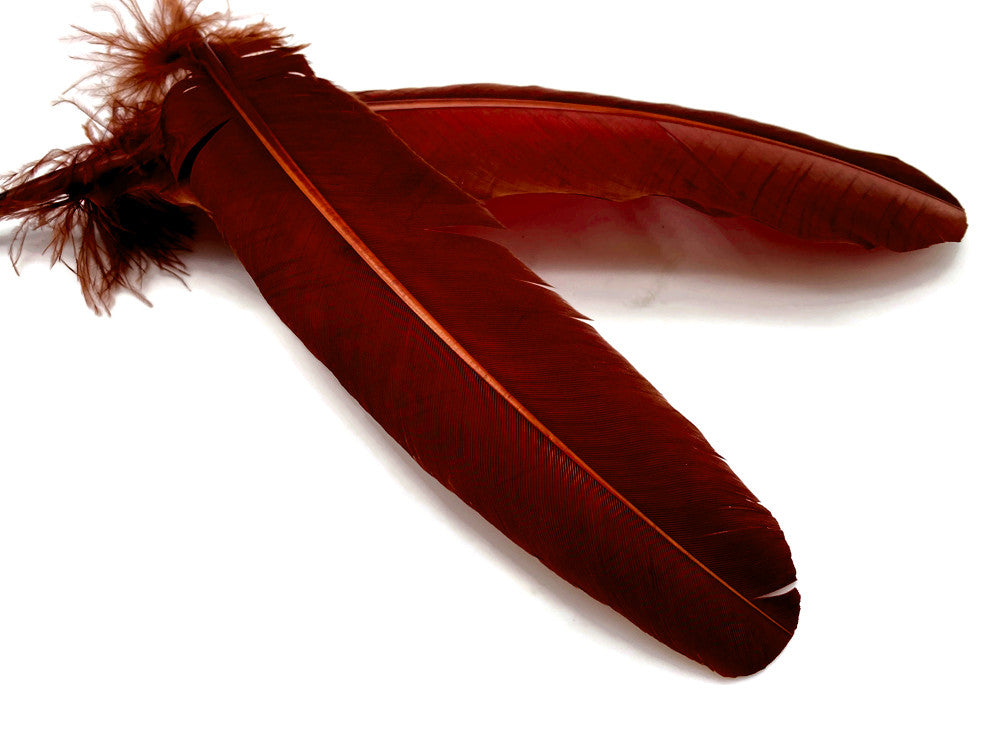 6 Pieces - Wine Brown Turkey Rounds Secondary Wing Quill Feathers