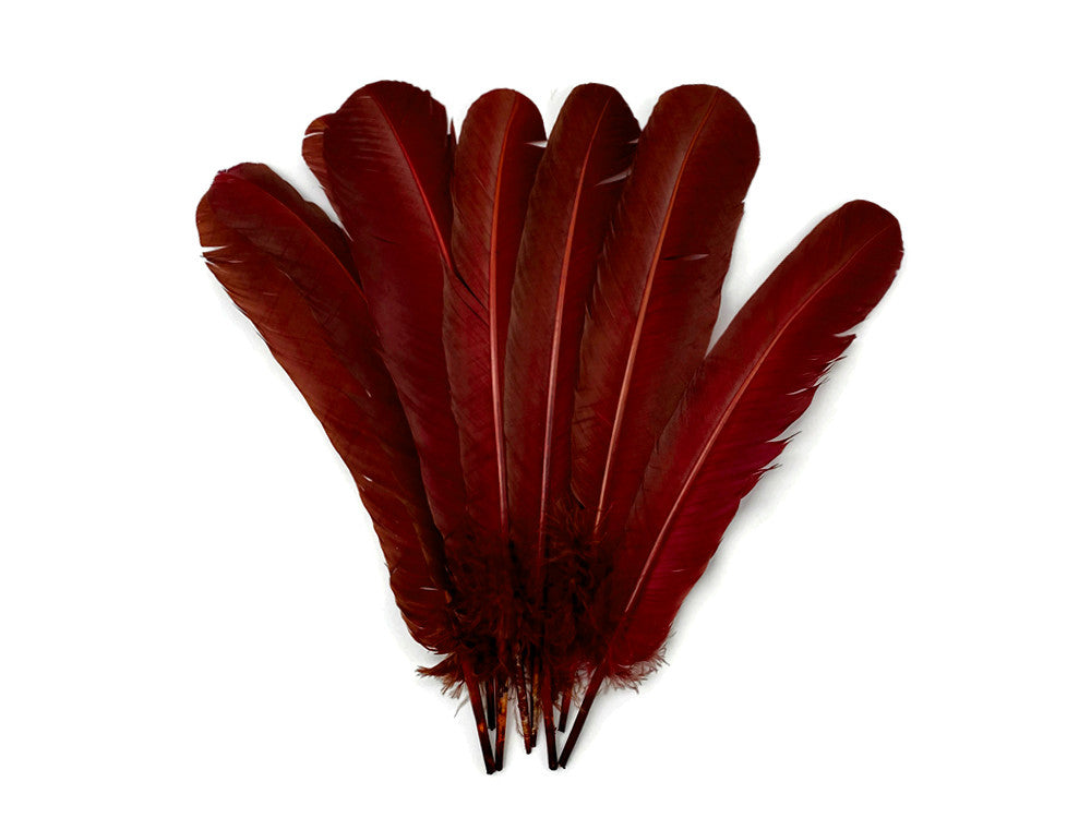 6 Pieces - Wine Brown Turkey Rounds Secondary Wing Quill Feathers