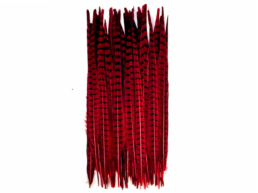 10 Pieces - 18-22" Red Wine Dyed Over Natural Long Ringneck Pheasant Tail Feathers