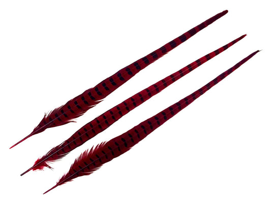 10 Pieces - 18-22" Red Wine Dyed Over Natural Long Ringneck Pheasant Tail Feathers