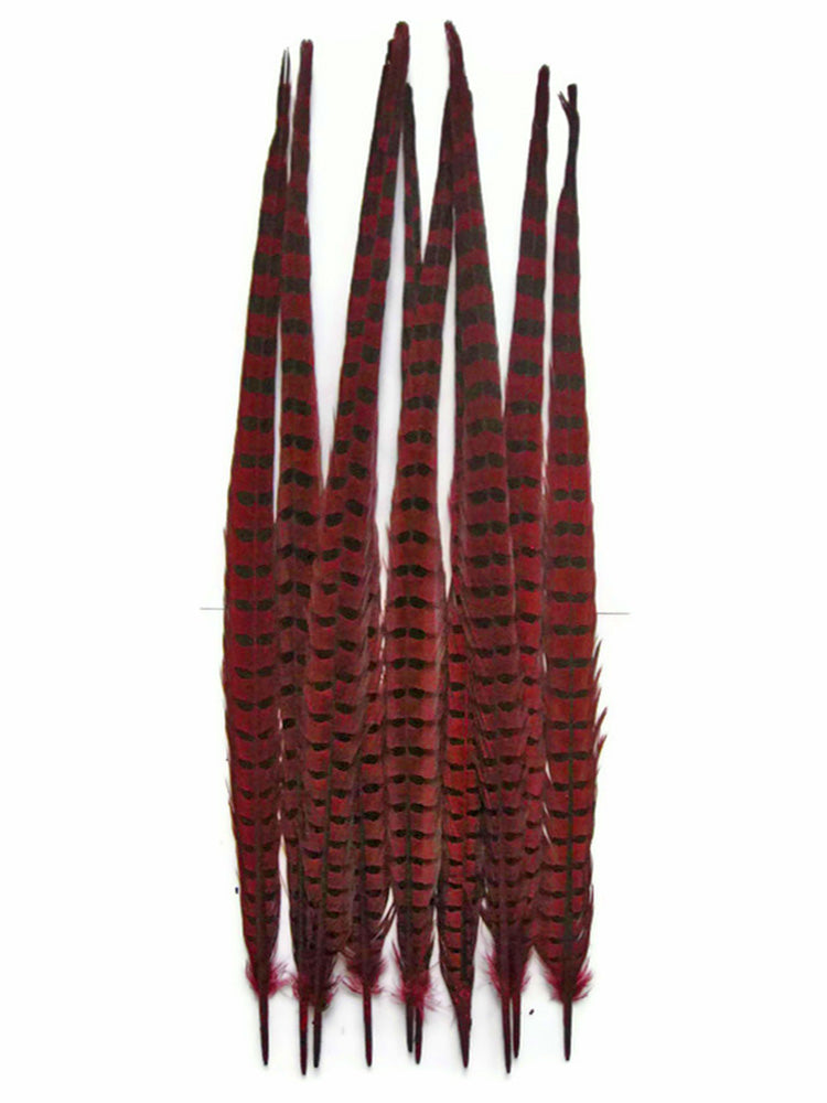 50 Pieces - 18-22" Red Wine Dyed Over Natural Long Ringneck Pheasant Tail Wholesale Feathers (Bulk)