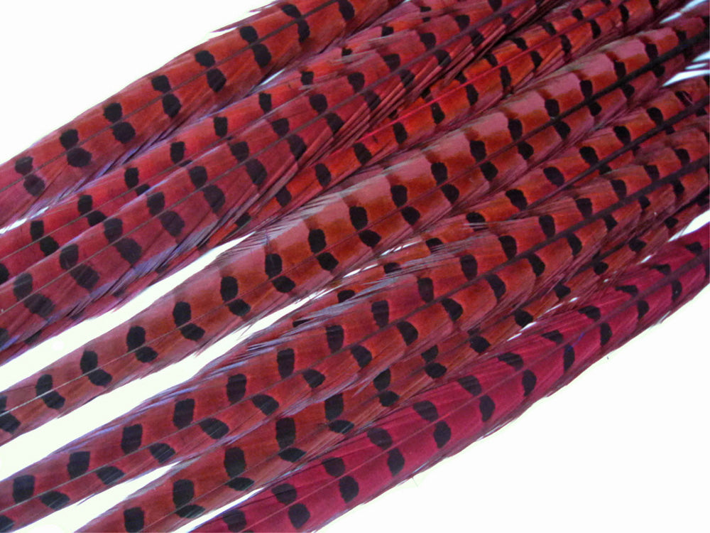 50 Pieces - 18-22" Red Wine Dyed Over Natural Long Ringneck Pheasant Tail Wholesale Feathers (Bulk)