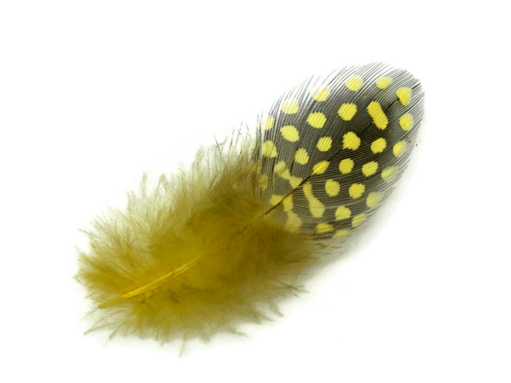 1 Pack - Yellow Guinea Hen Polka Dot Plumage Feathers 0.10 Oz.