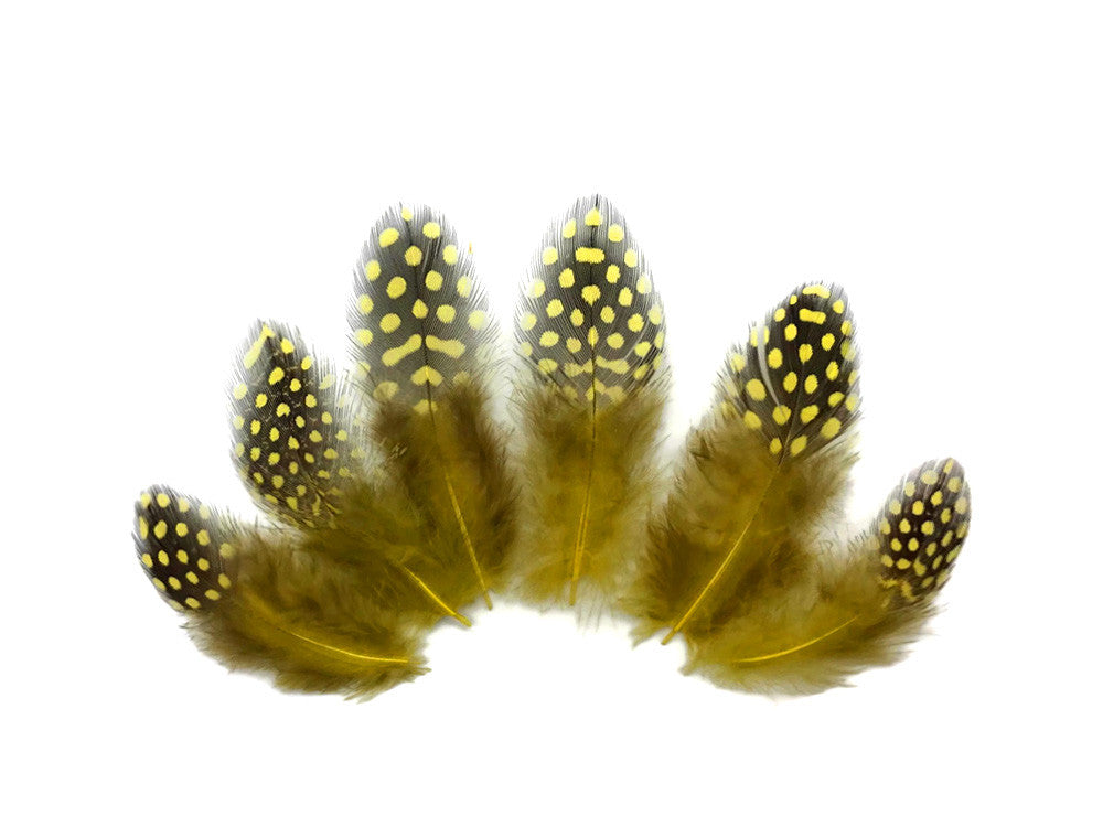 1 Pack - Yellow Guinea Hen Polka Dot Plumage Feathers 0.10 Oz.