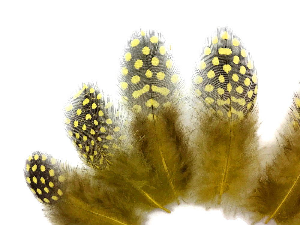 1 Pack - Yellow Guinea Hen Polka Dot Plumage Feathers 0.10 Oz.