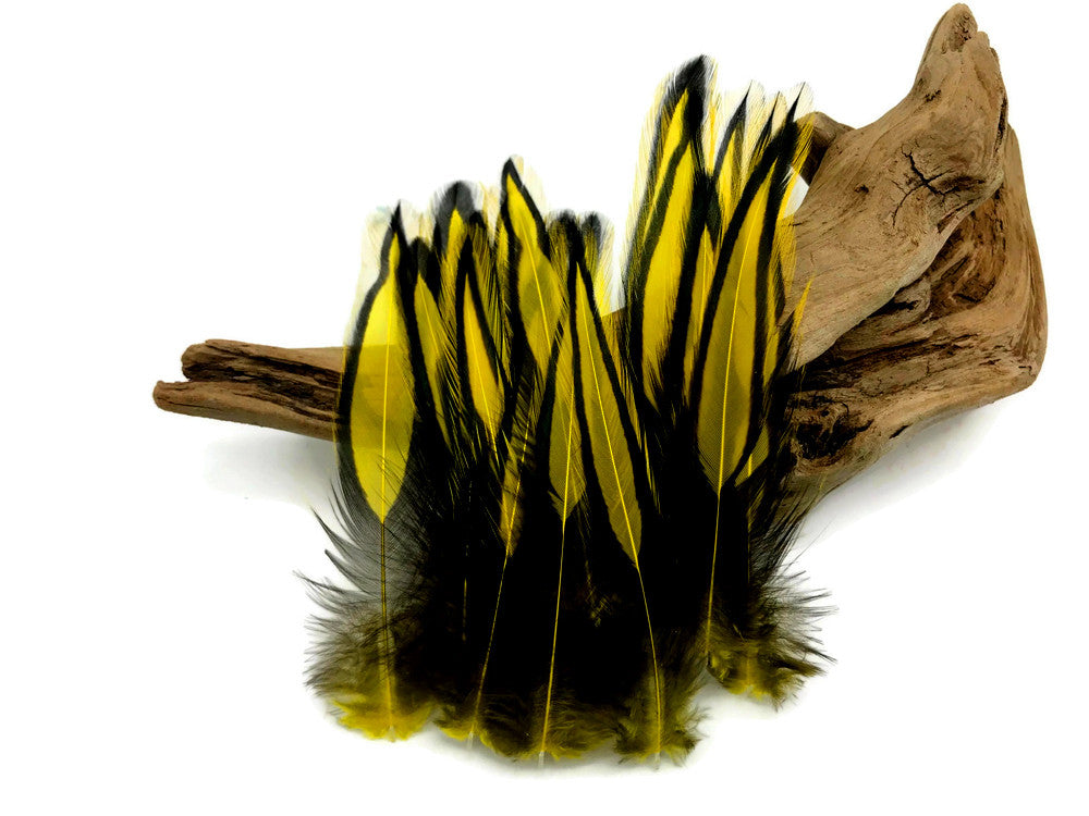 10 Pieces - Sunshine Yellow Dyed BLW Laced Long Rooster Cape Whiting Farms Feathers