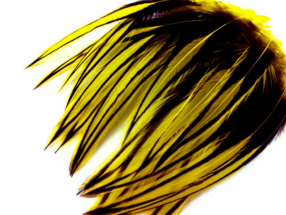 10 Pieces - Sunshine Yellow Dyed BLW Laced Long Rooster Cape Whiting Farms Feathers