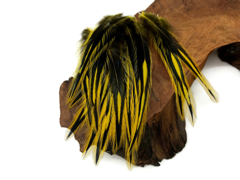 10 Pieces - Sunshine Yellow Dyed BLW Laced Short Rooster Cape Whiting Farms Feathers