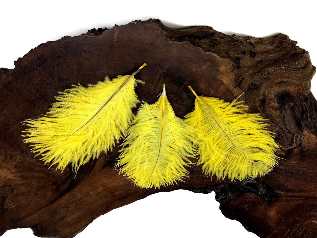 1 Pack - Yellow Ostrich Small Confetti Feathers 0.3 Oz