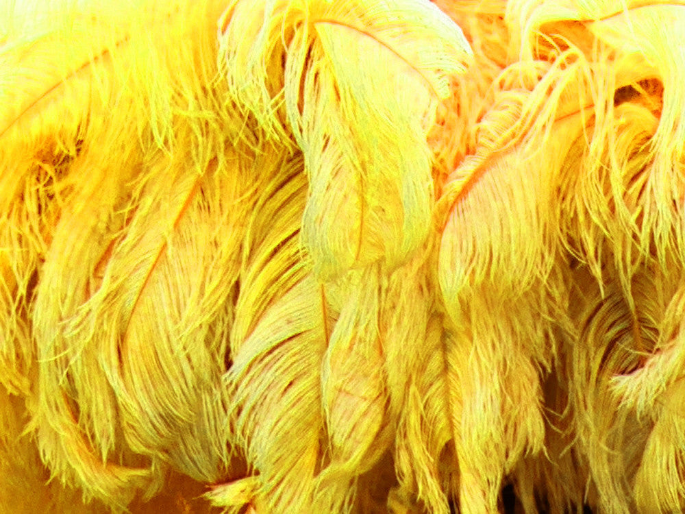 1/2 Lb. - 25-29" Yellow Large Ostrich Wing Plume Wholesale Feathers (Bulk) 