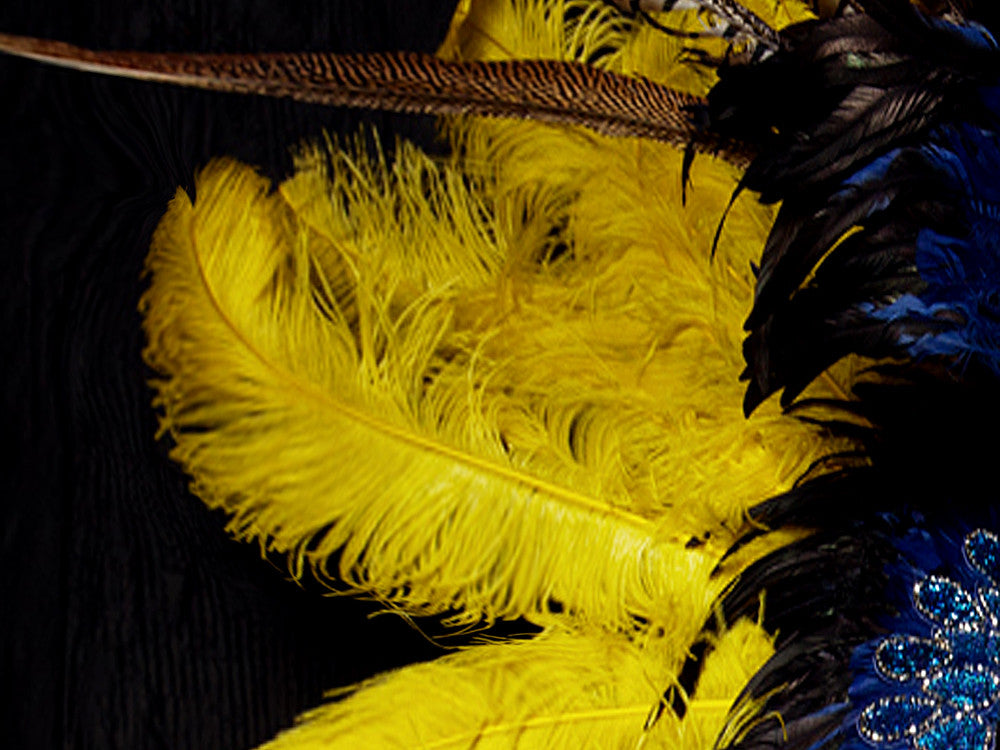 10 Pieces - 18-24" Yellow Large Prime Grade Ostrich Wing Plume Centerpiece Feathers