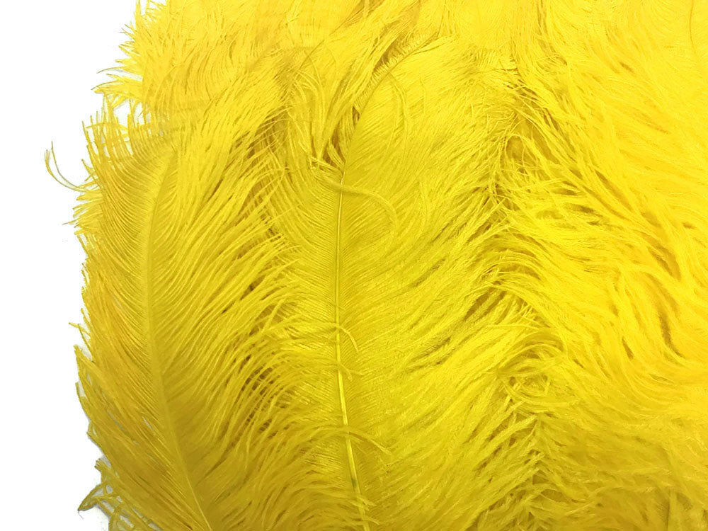 1/2 Lb. - 18-24" Yellow Large Ostrich Wing Plume Wholesale Feathers (Bulk)