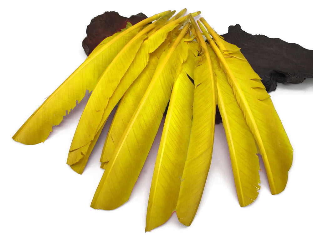 1/4 Lb - Yellow Turkey Pointers Quill Large Wholesale Feathers (Bulk)