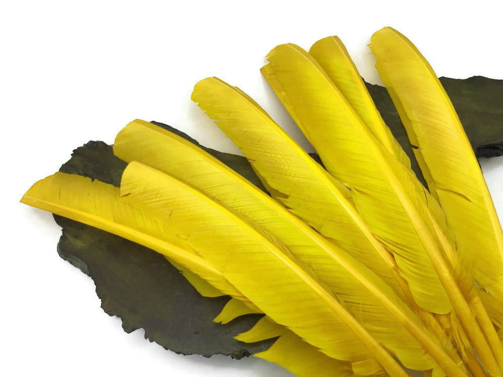 6 Pieces - Yellow Turkey Pointers Primary Wing Quill Large Feathers