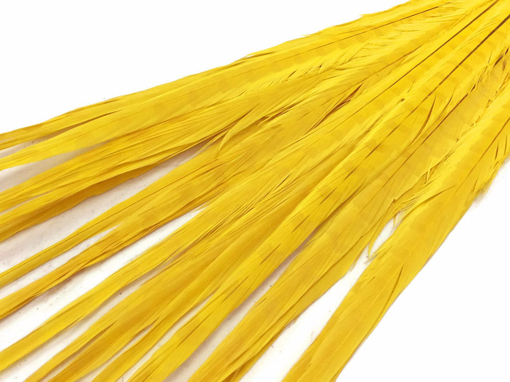 10 Pieces - 18-22" Yellow Bleached and Dyed Long Ringneck Pheasant Tail Feathers