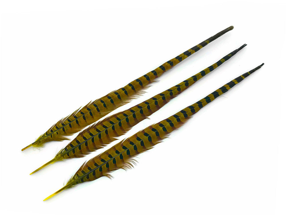 10 Pieces - 18-22" Yellow Dyed Over Natural Long Ringneck Pheasant Tail Feathers