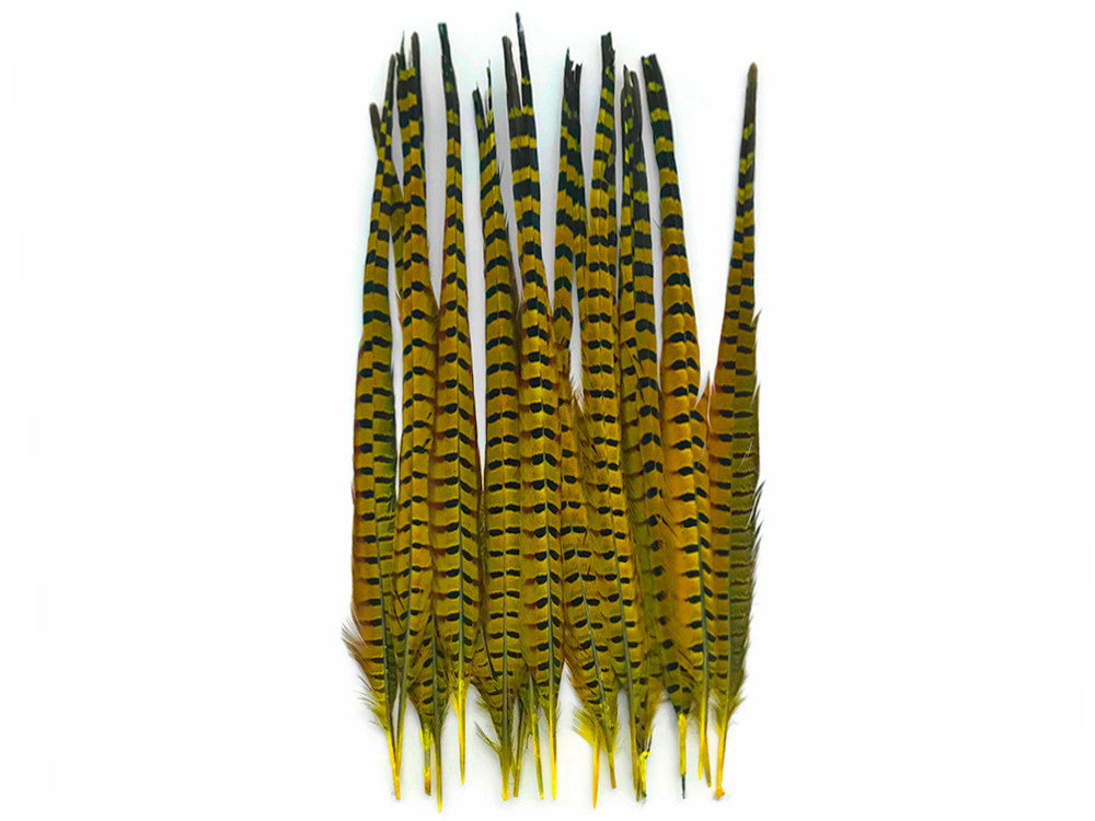 50 Pieces - 18-22" Yellow Dyed Over Natural Long Ringneck Pheasant Tail Wholesale Feathers (Bulk)