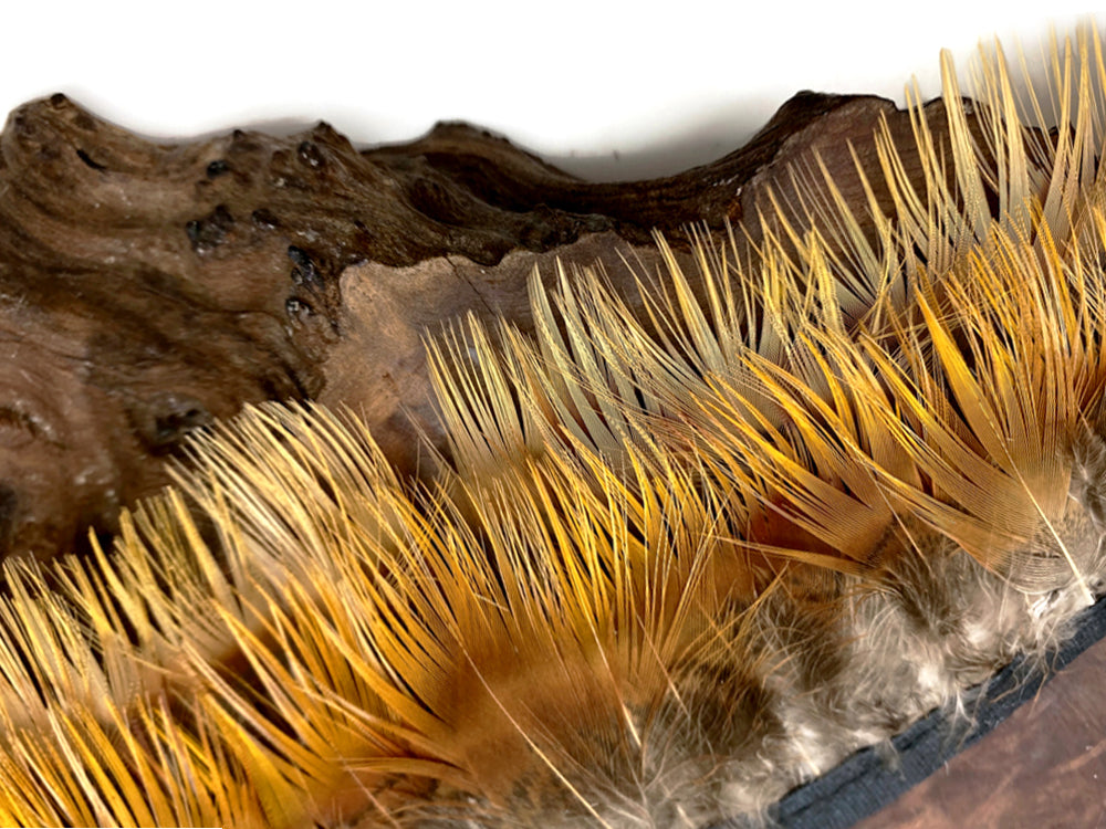 1 Yard - Natural Yellow Golden Pheasant Plumage Body Feather Trim